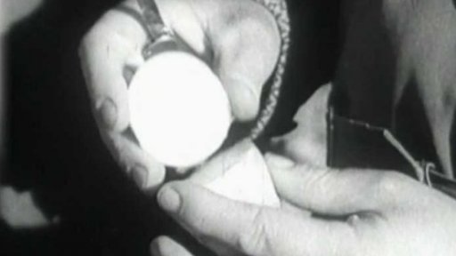 Nový druh brambor (1959)