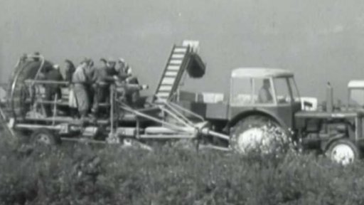 Sklizeň pomocí kombajnu (1960)