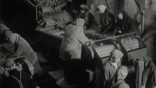 Dobrá mechanizace při sklizni a třídění brambor (1966)