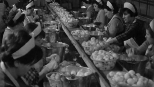 Ostravská škrabárna brambor s holandským strojem (1967)