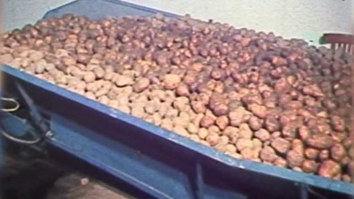 Linka na zpracování brambor (1981)