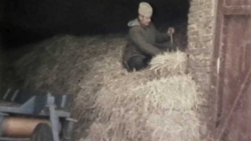 Nový způsob skladování (1982)