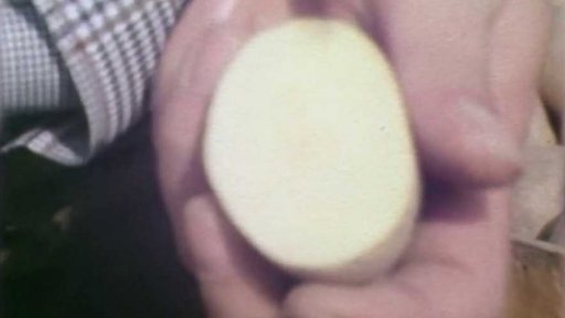 Kontrola jakosti (1982)