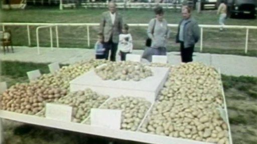 Bramborářská slavnost v Košeticích (1989)