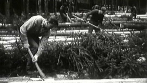 Kanoisté a kajakáři na lesní brigádě (1955)