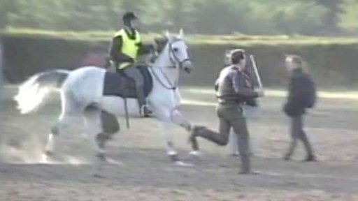 Protest proti Taxisovu příkopu a týrání zvířat (1992)