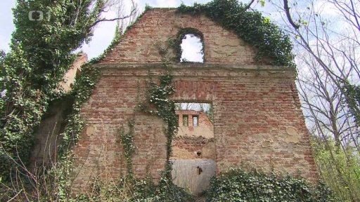 Bohnický hřbitov bláznů