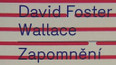 Vychází druhý překlad Davida Fostera Wallace