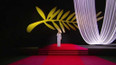 75. ročník Filmového festivalu v Cannes