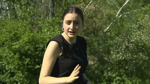 Věda kolem nás: pyly a alergie