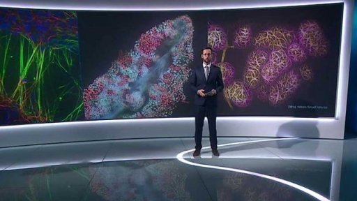 Soutěž mikroskopických fotografií