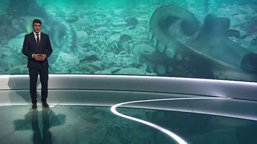 Chobotnice házející po sobě škeble