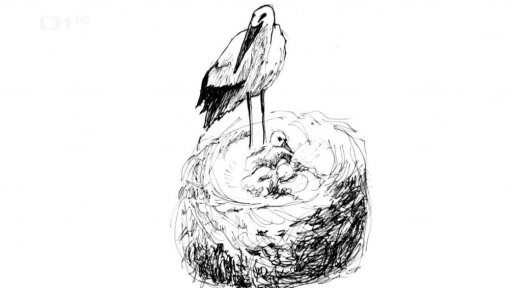 Stát versus Andrej Babiš