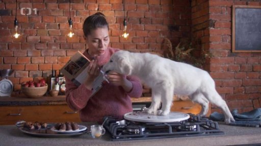 Karobové úly pro pejsky