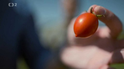Carovigno, Pietrasanta di Raffaele Leobilla