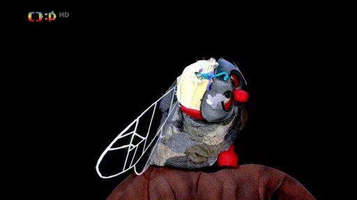 Otylka přivede Pipa, aby zachránil Mufa - mouchu ze ztroskotaného Pipoletu. Muf se kaje.