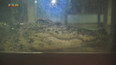 Krokodýlí ZOO