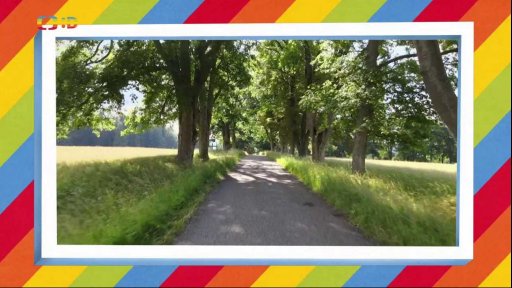 Brdské stromsázení