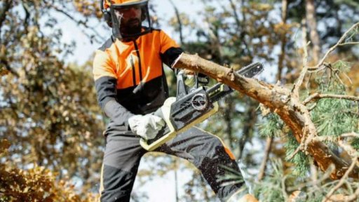 Lesnický den na loveckém zámečku Ohrada