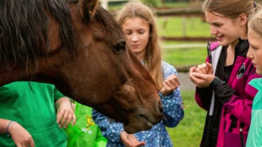 Halloween v Zooparku Zelčín
