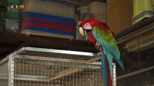 Přírodovědné centrum Hradec Králové