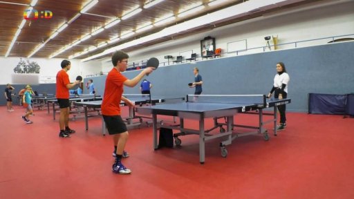Volný čas: Ping pong
