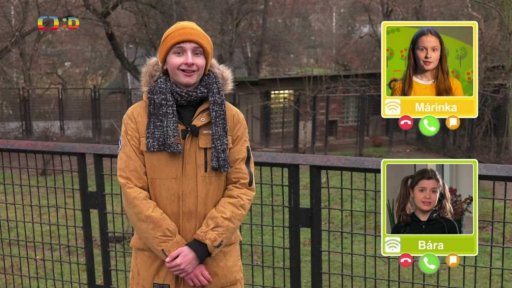 Příroda: Vlk hřivnatý