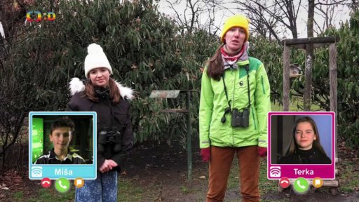 Společnost: Ptačí hodinka