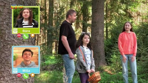 Příroda: Houbaření