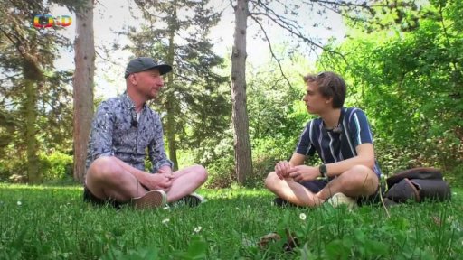 Hudba: Hudební festivaly