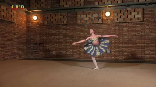 Volný čas: Baletka Laura Mohylová