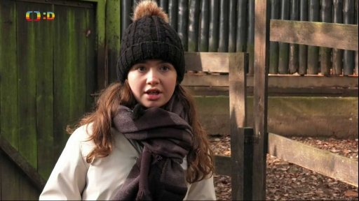 Příroda: Zvířata v zimě