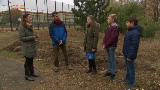 Reportáž: Školní les