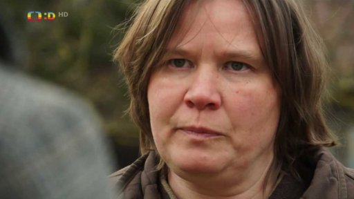 Orientace psů v prostoru