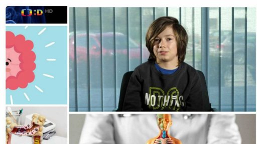 Anketa: Co je slepé střevo