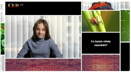 Anketa: Co bys nikdy nesnědl/nesnědla?