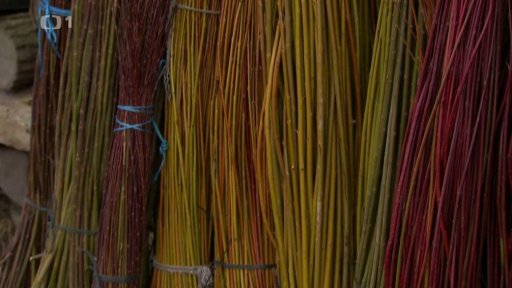 Využití vrbového proutí