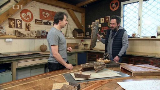 Korek z dubu korkového