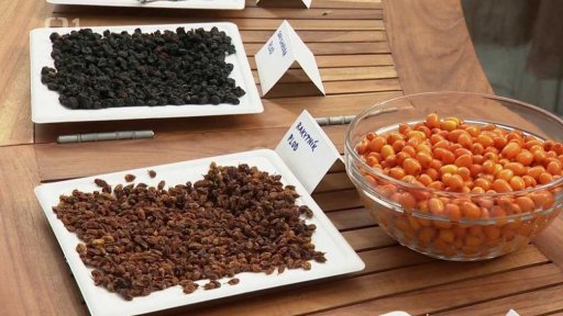 Adaptogenní rostliny