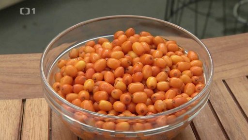 Adaptogenní rostliny – výsev a pěstování