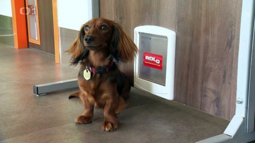 Bezpečnostní dveře