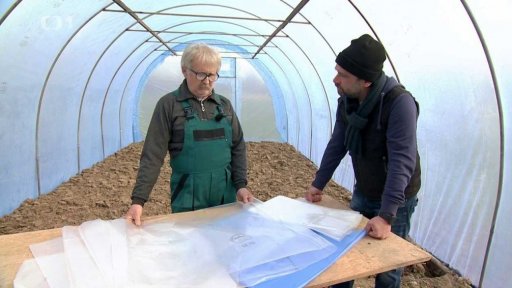 Fóliovník – ano nebo ne?