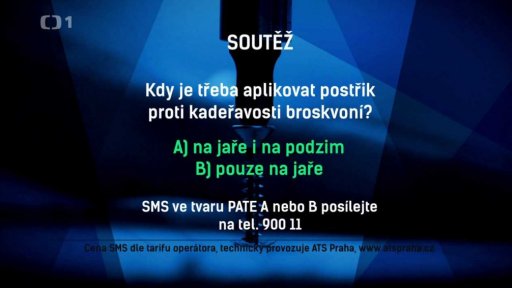 Soutěž