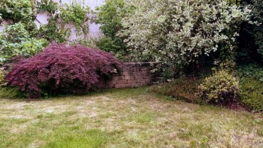 Zahrada bez trávníku