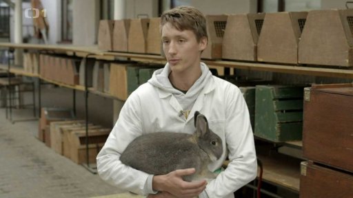 Co musí posuzovatel vědět