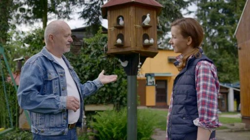 Jak trénují šampioni