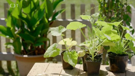 ...a o nějaký čas později...