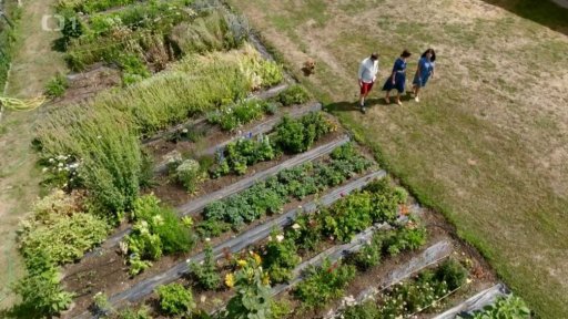 Květinové políčko