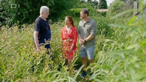 Pěstování vrby na prutníku