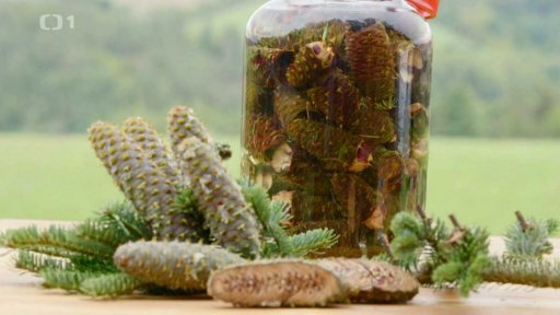 Tinktura z jedlových semen